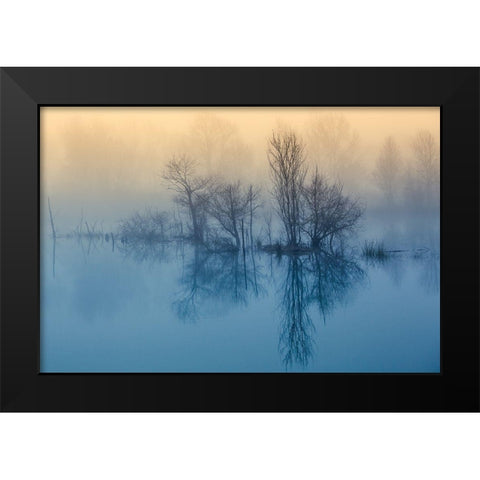 Morning Reflection Black Modern Wood Framed Art Print by Butali, David