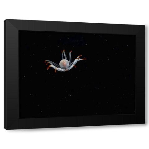 Alien Black Modern Wood Framed Art Print by Barchana, Dani