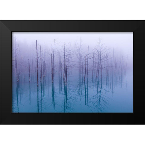 Misty Blue Pond Black Modern Wood Framed Art Print by Asami, Osamu