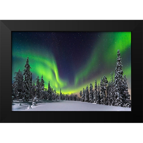 Aurora Black Modern Wood Framed Art Print by Roemmelt, Dr. Nicholas
