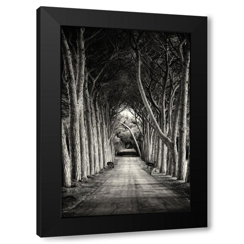 Untitled Black Modern Wood Framed Art Print with Double Matting by Stimac, Sandra