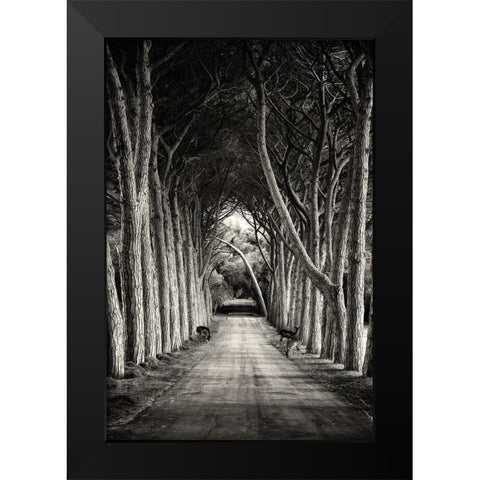 Untitled Black Modern Wood Framed Art Print by Stimac, Sandra