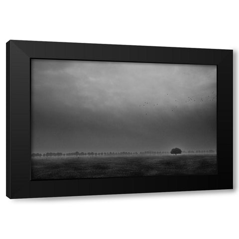 Solitaire Black Modern Wood Framed Art Print by Hageman, Michiel