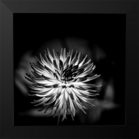 Sensual Performance Black Modern Wood Framed Art Print by Bland, Richard