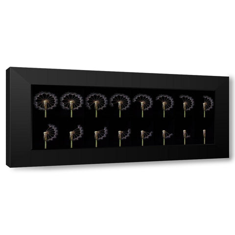 Countdown Black Modern Wood Framed Art Print with Double Matting by Lionse, Art
