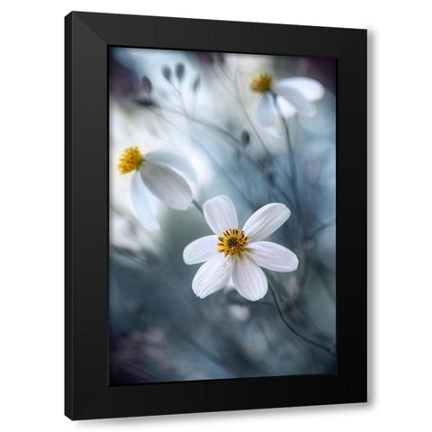 Cosmos Black Modern Wood Framed Art Print by Disher, Mandy