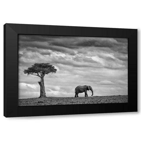Elephant Landscape Black Modern Wood Framed Art Print by Moreno, Mario