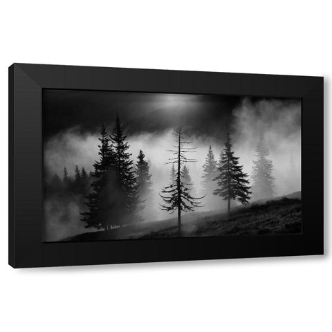 Misty Forest Black Modern Wood Framed Art Print with Double Matting by Oncete, Julien