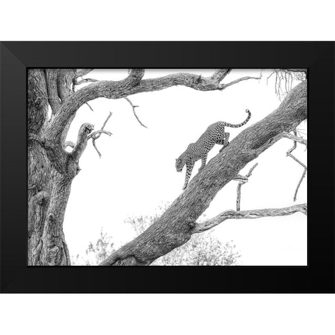 High Key Leopard Black Modern Wood Framed Art Print by Marx, Jaco