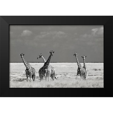 Look Girl Strange Animals Black Modern Wood Framed Art Print by Guillemot, Mathilde
