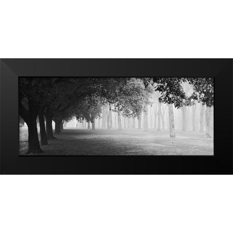 Morning Fog Black Modern Wood Framed Art Print by Chiarello, Matteo