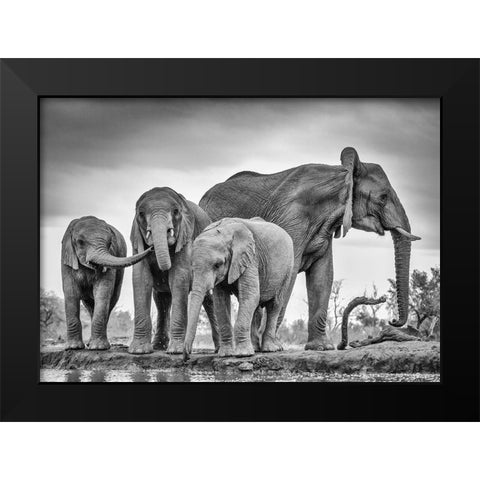 A Giant Unity Black Modern Wood Framed Art Print by Marx, Jaco