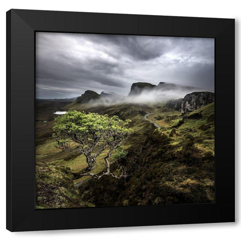Quirange Black Modern Wood Framed Art Print with Double Matting by Thorberntsson, Claes