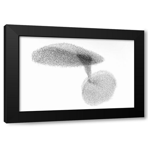 Starlings Dance Black Modern Wood Framed Art Print by Gil Raga, Joan