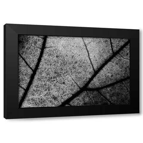 Streets Black Modern Wood Framed Art Print by Chiarello, Matteo