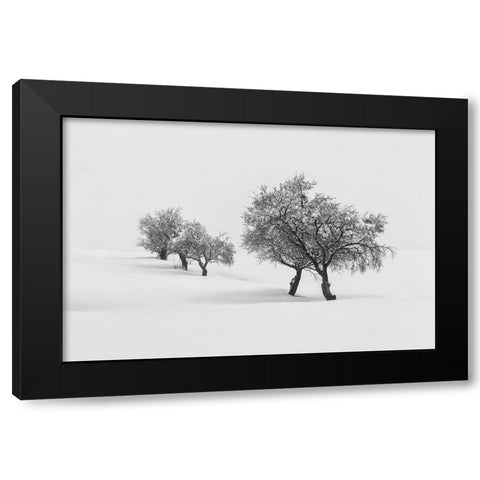 White Carpet Ii Black Modern Wood Framed Art Print with Double Matting by Carrillo Lopez, Antonio