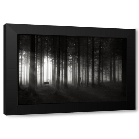 Deer`S Morning Black Modern Wood Framed Art Print with Double Matting by Hessel, Christoph