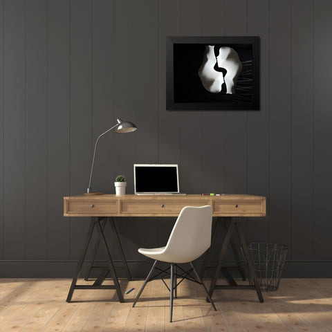 Twins Black Modern Wood Framed Art Print by Zahirimehr, Maryam