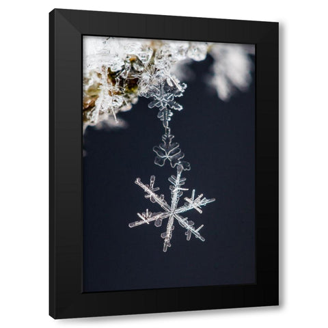 Pendant Black Modern Wood Framed Art Print by Ritoniemi, Sami