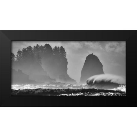 F U R Y Black Modern Wood Framed Art Print by Turgeon, Alain