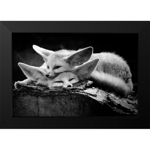 The Happy Couple Black Modern Wood Framed Art Print by Ross Rossi, Ib