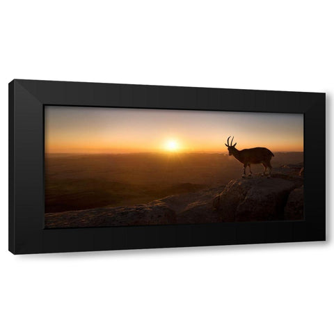 A New Day Black Modern Wood Framed Art Print by Jonas, Nadav