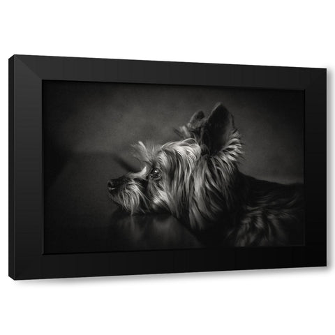 I Have Been Waiting For You ... Black Modern Wood Framed Art Print with Double Matting by Lacz, Krisztina