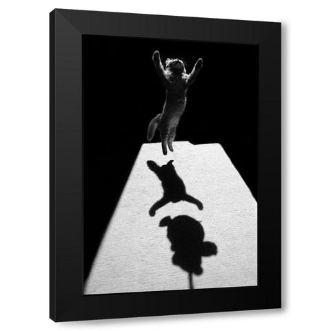 Edgar The Great Black Modern Wood Framed Art Print with Double Matting by Kravanja, Jure