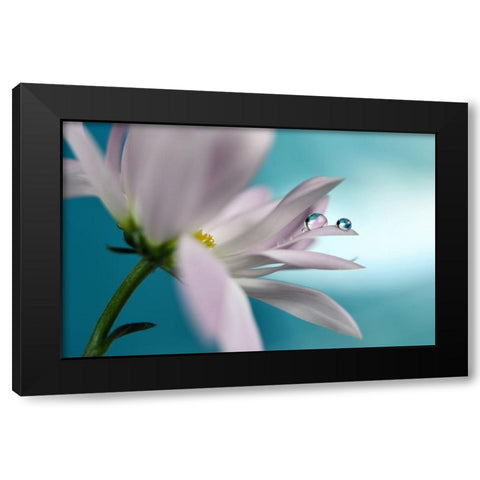 In Turquoise Company Black Modern Wood Framed Art Print with Double Matting by Westum, Heidi