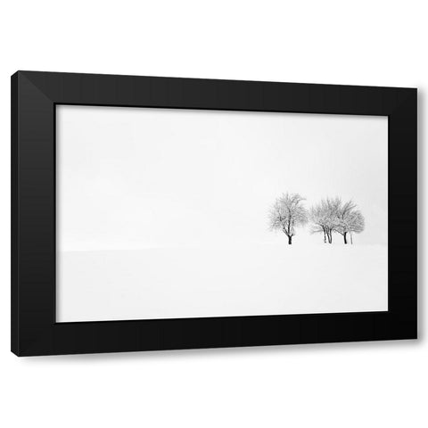 Tree And Silence Black Modern Wood Framed Art Print with Double Matting by Bajrich, Amir
