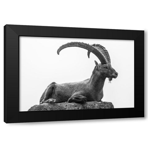 Resting Black Modern Wood Framed Art Print with Double Matting by Graf, Sebastian