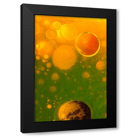 Spring Fantasy Black Modern Wood Framed Art Print by Bosogea-Tudor, Ileana