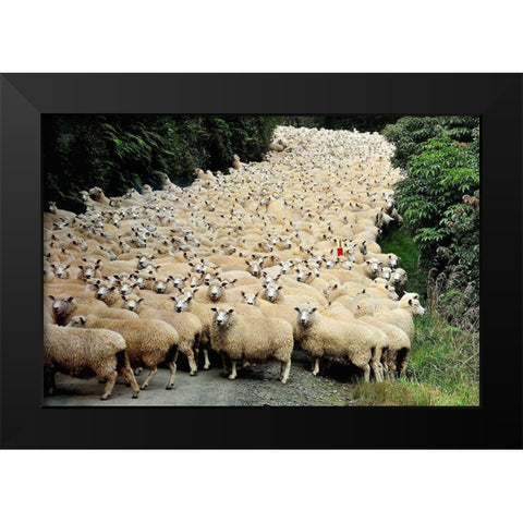 New Zealand Traffic Jam Black Modern Wood Framed Art Print by Tzur, Yair