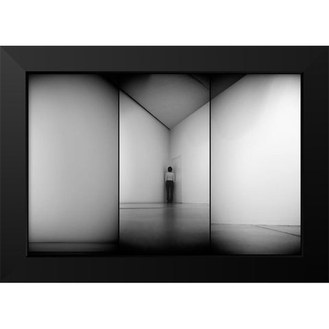 Evolution Black Modern Wood Framed Art Print by Kravanja, Jure