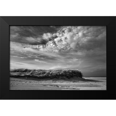 Untitled Black Modern Wood Framed Art Print by van der, Liesbeth