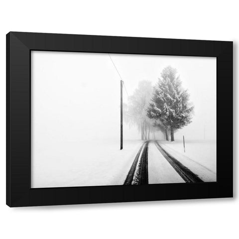White Tree Gate Black Modern Wood Framed Art Print with Double Matting by Bogner, Franz