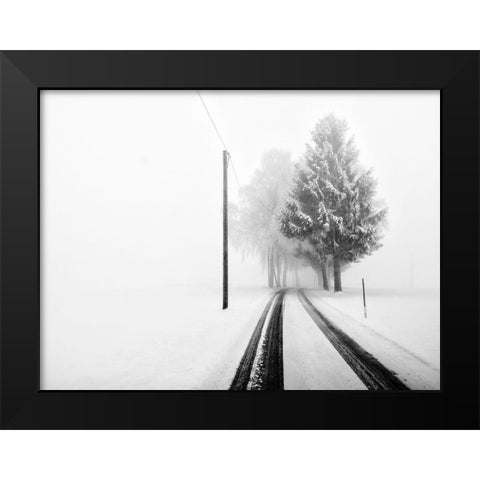 White Tree Gate Black Modern Wood Framed Art Print by Bogner, Franz