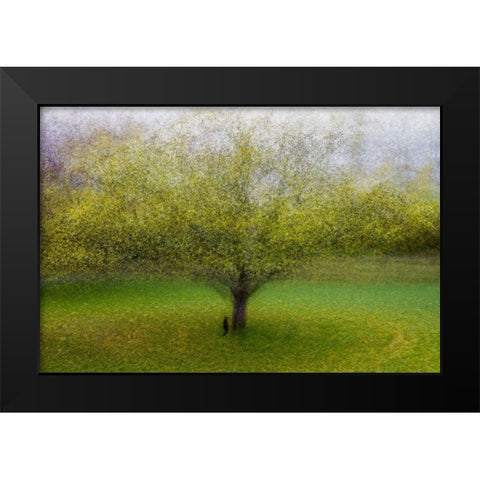 The Cat By The Tree Black Modern Wood Framed Art Print by Ostlund, Arne