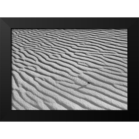 The Long Journey Black Modern Wood Framed Art Print by Skilbeck, Christian
