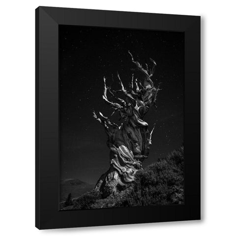 Grand-Grand-Grand-Pas Tree Black Modern Wood Framed Art Print by Chenglu, Simon
