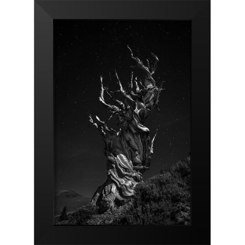 Grand-Grand-Grand-Pas Tree Black Modern Wood Framed Art Print by Chenglu, Simon