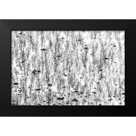 Little Trees Black Modern Wood Framed Art Print by Ghesquiere, Hilde