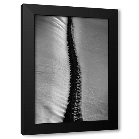 Scorpio Rising Black Modern Wood Framed Art Print by Abrantes, Paulo