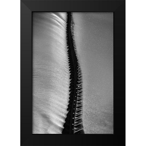 Scorpio Rising Black Modern Wood Framed Art Print by Abrantes, Paulo