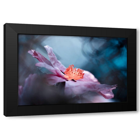 Even Flowers Have Stories To Tell Black Modern Wood Framed Art Print by BRAVIN, Fabien