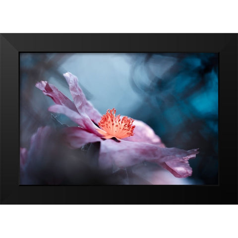 Even Flowers Have Stories To Tell Black Modern Wood Framed Art Print by BRAVIN, Fabien