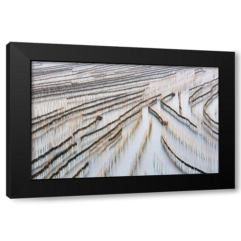 Harvesting Kelp Black Modern Wood Framed Art Print with Double Matting by Zhou, Xinhua