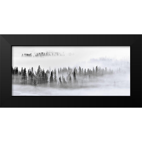 Foggy Forest Black Modern Wood Framed Art Print by Xu, Mei