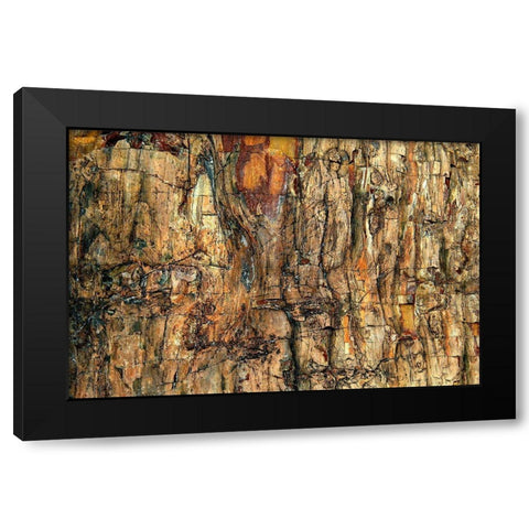 Bark Black Modern Wood Framed Art Print with Double Matting by Kravanja, Jure