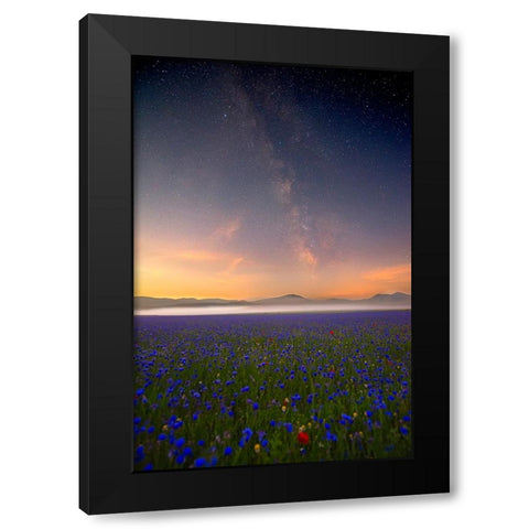 Night Flowers Black Modern Wood Framed Art Print by Marchegiani, Roberto